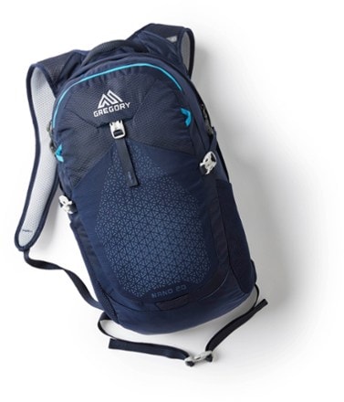 Gregory Nano 20 Daypack 2