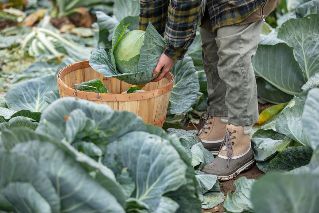 Location Image for Originals Leather Lace-Up Duck Boots - Women's