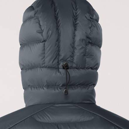 Arc'teryx Cerium Insulated Hoody - Women's 4
