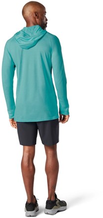 Smartwool Merino 150 Hoodie - Men's 2