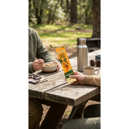 SOLELY Fruit Jerky 2