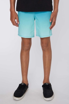 O'Neill Stockton Print E-Waist Hybrid Shorts - Kids' 1
