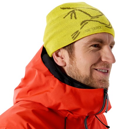 Arc'teryx Bird Head Toque Beanie 3