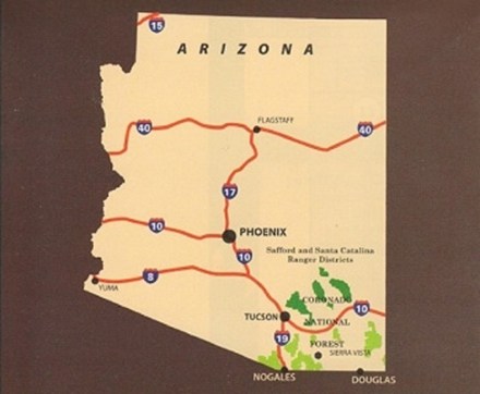 Coronado National Forest Map Coronado National Forest - Safford And Santa Catalina Ranger District Map |  Rei Co-Op