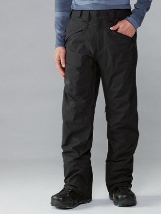 mens north face freedom ski pants