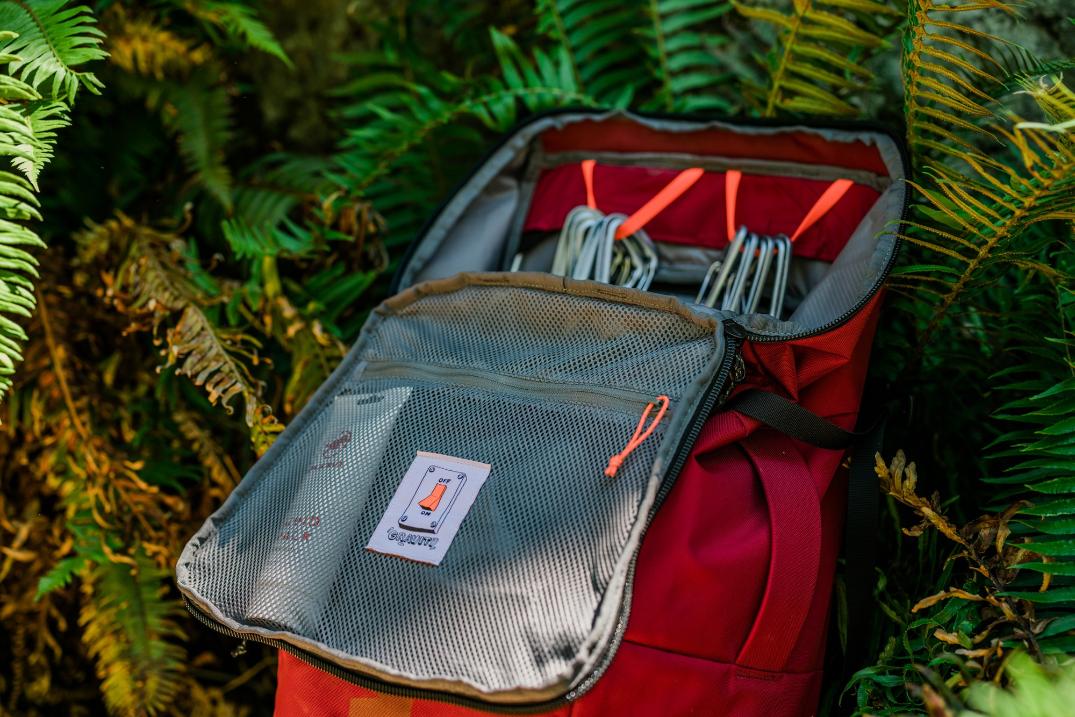 Location Image for Neon 55 Pack - Women's