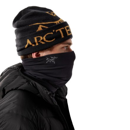 Arc'teryx Rho Neck Gaiter Long 3