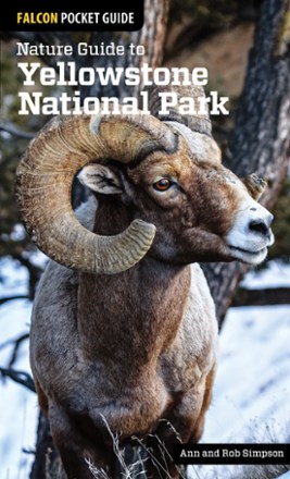 FalconGuides Nature Guide to Yellowstone National Park 0