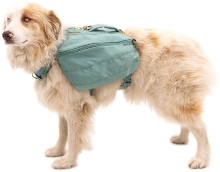 Ruffwear Front Range Dog Day Pack 5