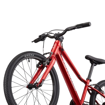 Cannondale Quick 20 Kids' Bike | REI Co-op