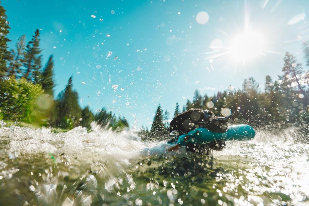 Location Image for Lunker Toy