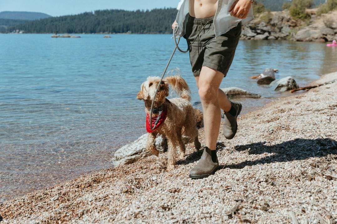 Location Image for Classic Chelsea Boots