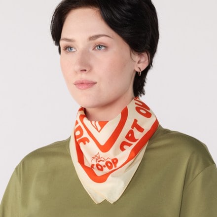 REI Co-op Graphic Bandana 1