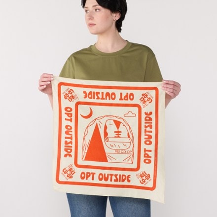 REI Co-op Graphic Bandana 2