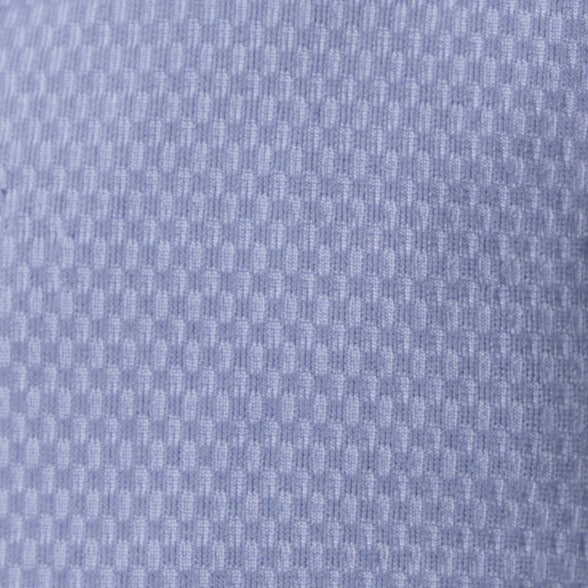 Swatch Image of color Wild Wind