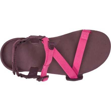 Xero Shoes Z-Trail EV Sandals - Women's 4