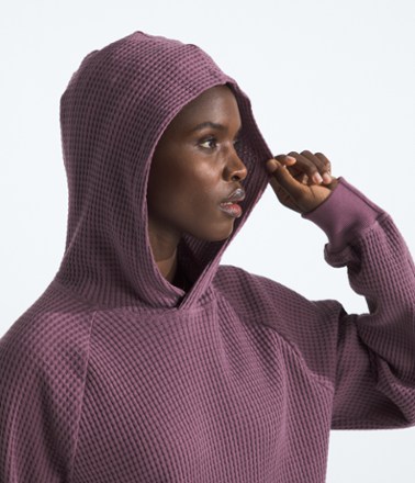 The North Face Chabot Hoodie - Women's 5