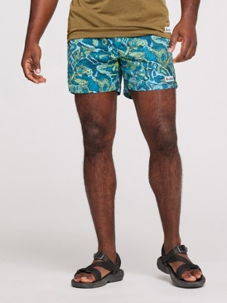 Cotopaxi Brinco Shorts - Men's 1