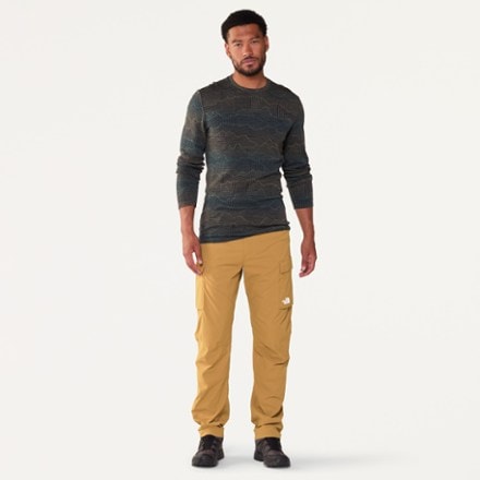 The North Face Exploration Cargo Pants - Men's 3