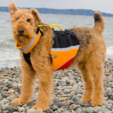 rei dog life vest