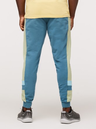 Cotopaxi Bandera Jogger Pants - Men's 2