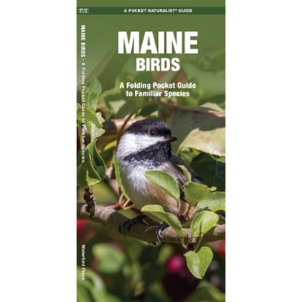 Waterford Press Maine Birds 0