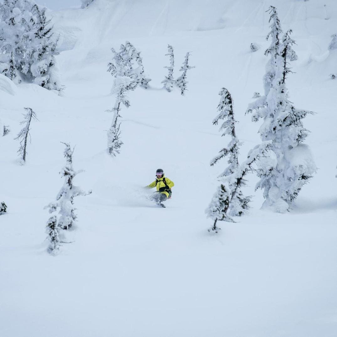 Location Image for Riva Splitboard - Women's - 2023/2024