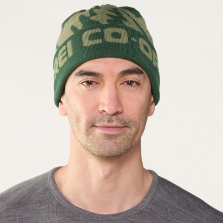 REI Co-op Graphic Cuff Beanie 1