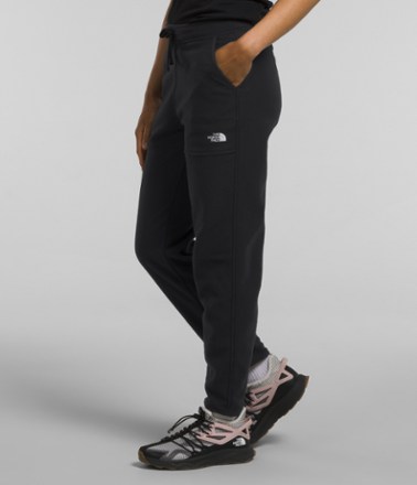 The North Face Alpine Polartec 100 Pants - Women's 7