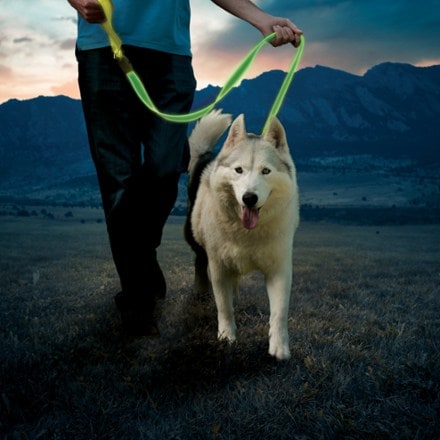 Nite Ize NiteDog Rechargeable LED Dog Leash 10