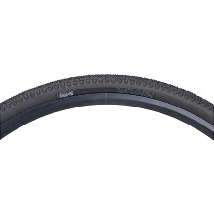 WTB Riddler TCS Tire 2