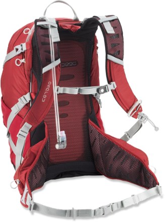 suspension view (Radiant Red)