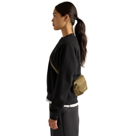 Arc'teryx Mantis 1 Waistpack 10
