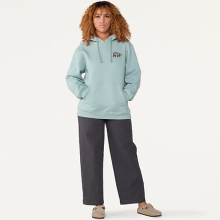 REI Co-op Nature Friends Pullover Hoodie 6
