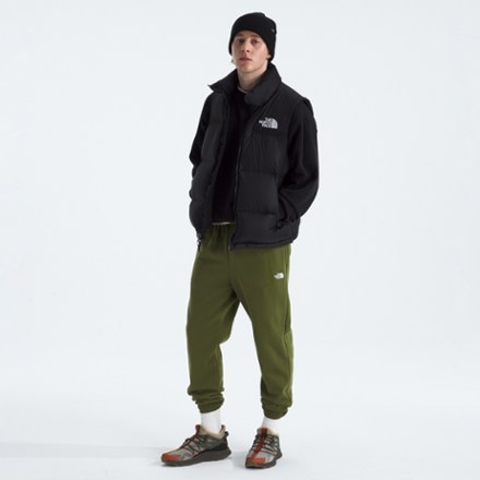 The North Face Evolution Simple Dome Joggers - Men's 2