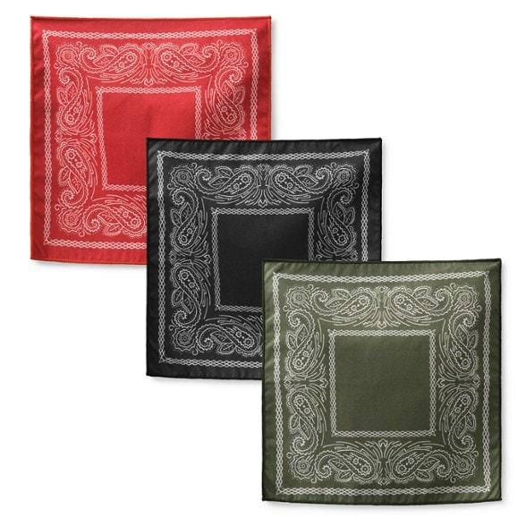 Product Image of color Paisley