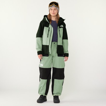 The North Face GTX Hex Snow Pants - Women's | REI Co-op