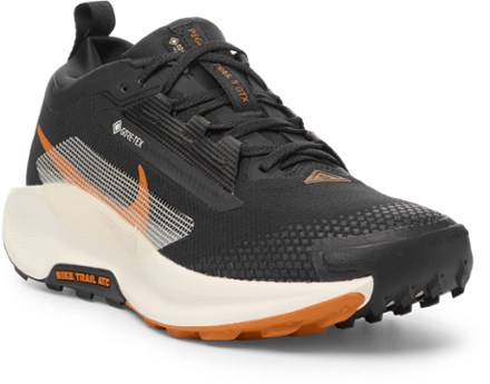 Nike Pegasus Trail 5 GORE-TEX Trail-Running Shoes - Men's 2