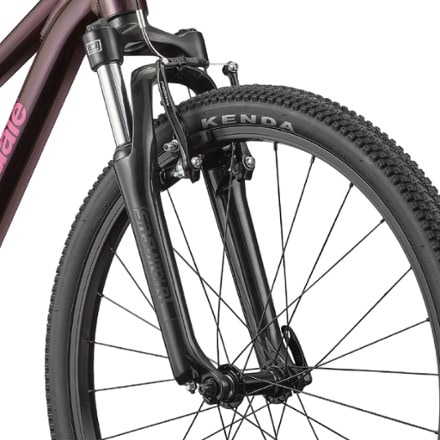 Cannondale Trail 24 Kids' Bike 10