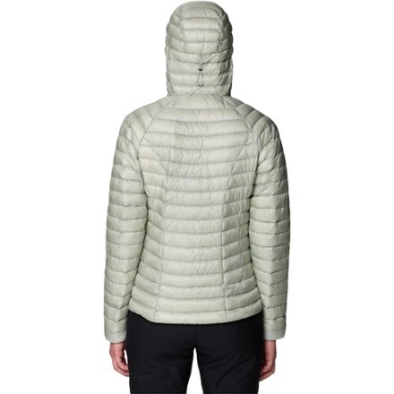 Mountain Hardwear Ghost Whisperer Down Hoody - Women's 1