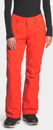 tnf snow pants