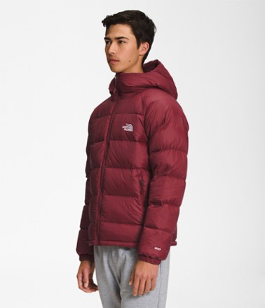 The North Face Hydrenalite Down Hoodie - Men's 2
