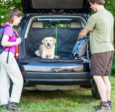 In Use (Black/Green)