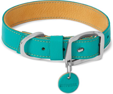 frisco dog collar