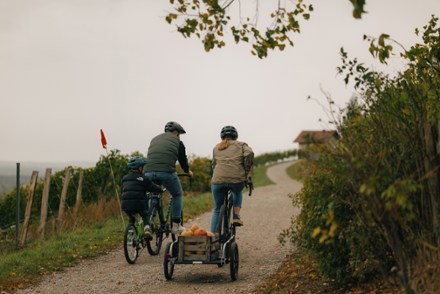 Burley Piccolo Trailer Bike 4