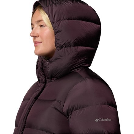 Columbia Amaze Puff Down Hooded Jacket - Women's 10