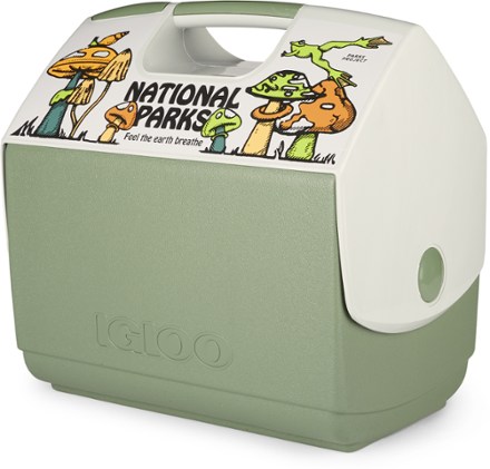 Igloo Small Ice Block Pack, 1 ct - Food 4 Less