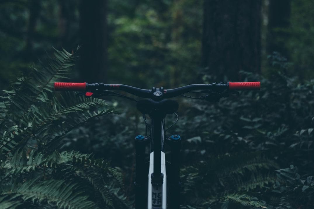 Location Image for Gen 2 Loam Lever