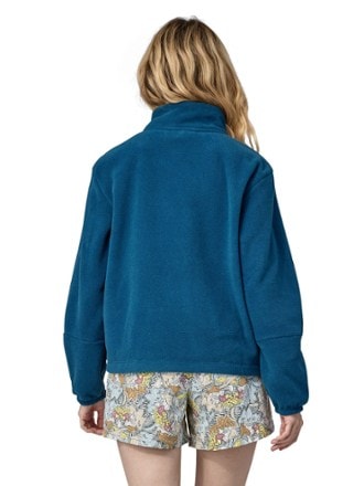 Patagonia Microdini Half-Zip Fleece Pullover - Women's 2
