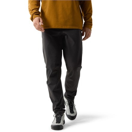 Arc'teryx Levon Pants - Men's 0